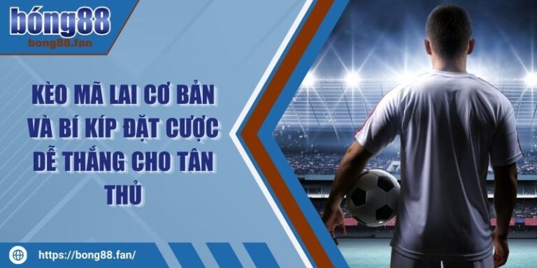 Kèo Mã Lai Cơ Bản Và Bí Kíp Đặt Cược Dễ Thắng Cho Tân Thủ 8 Kèo Mã Lai Cơ Bản Và Bí Kíp Đặt Cược Dễ Thắng Cho Tân Thủ